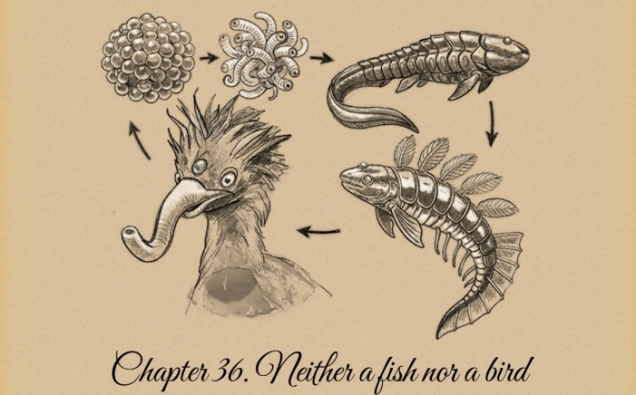 Dandelion Parade - cosmic fantasy webnovel on Spacefantasy.ru - Chapter 36 - Neither a fish nor a bird